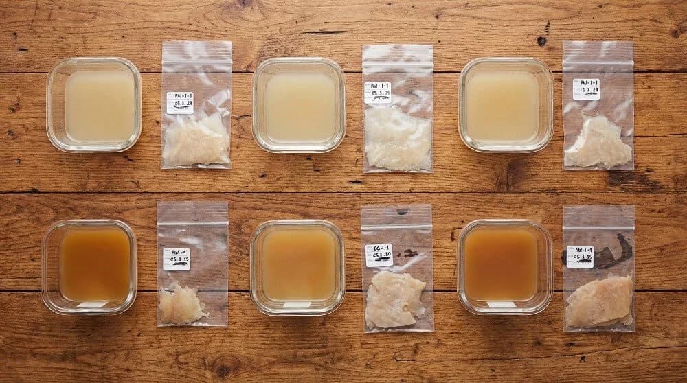 Cellulose samples from cacao mucilage.