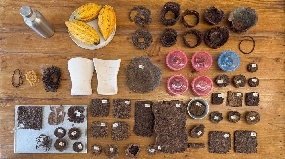 Cacao biomaterial prototypes.