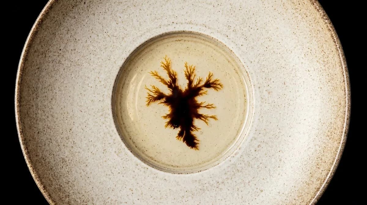 Honey, aquavit, fractals.