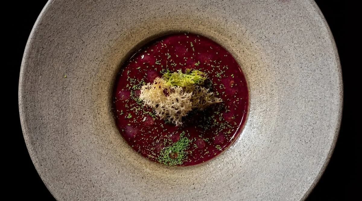 Blueberries, pine and lichen.