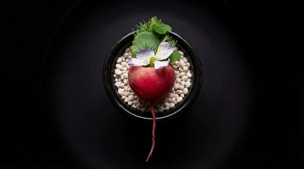 Alkalised radish and crab, detail.