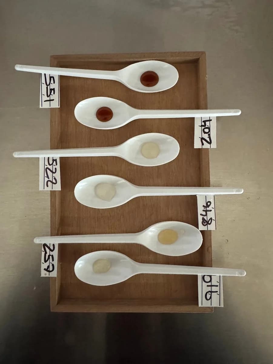 Testing cacao mucilage vinegar varieties.