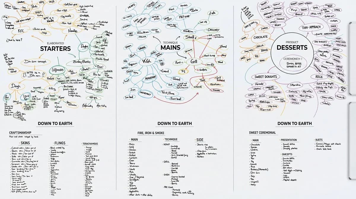 Conceptual map.