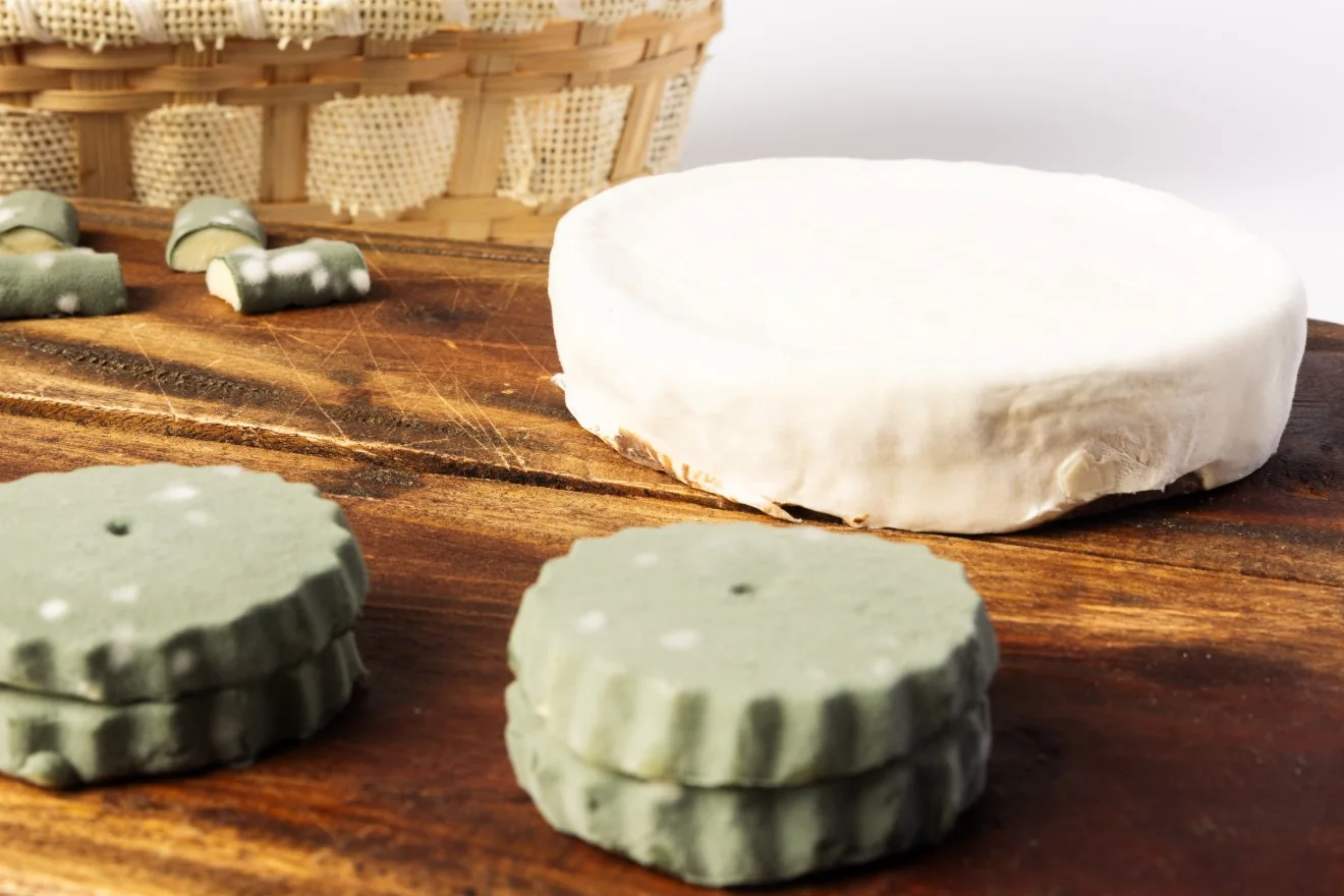 Lactique: brie-style cheese-cake and green camemberti biscuits on a wooden board.
