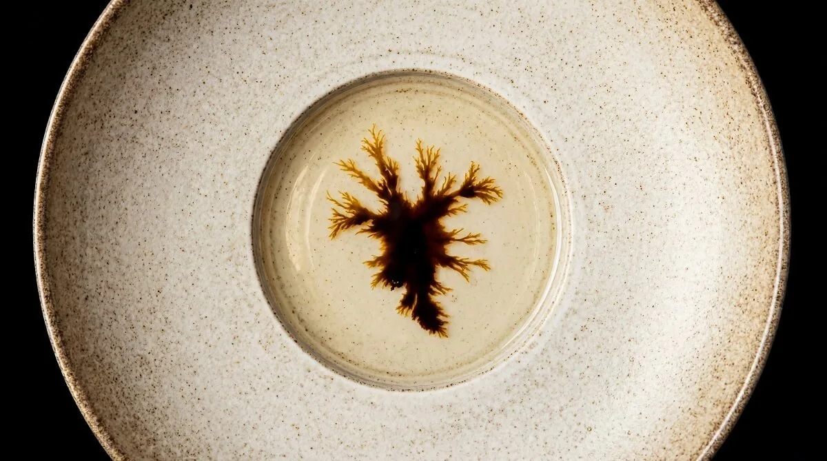 Honey, aquavit, fractals.